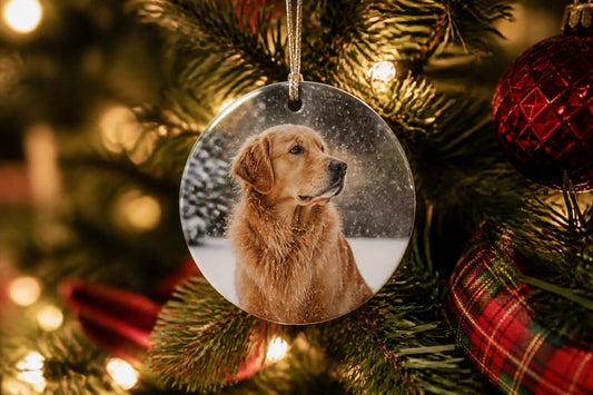 Custom Photo Ornament: Types, Sizes & What to Order Now