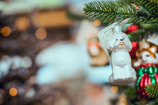 Weihnachtskugel mit Foto Hund: Personalisiert und zeitlos