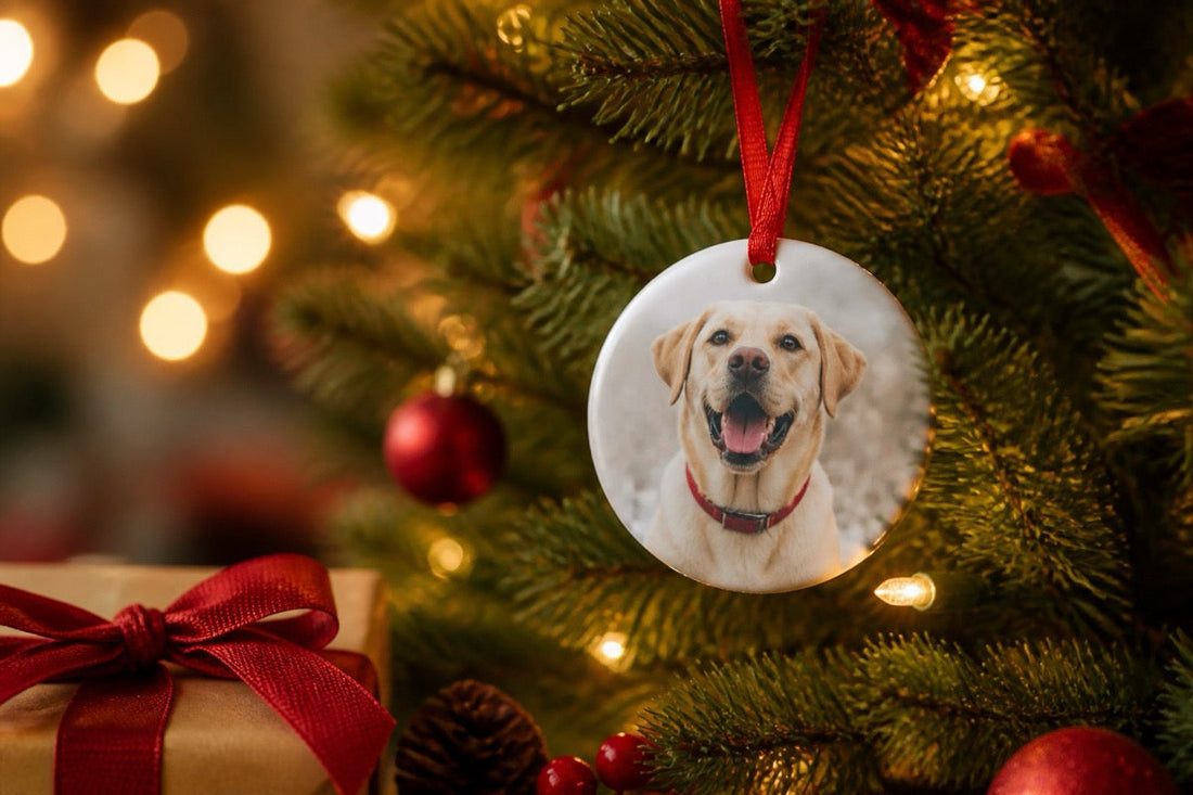 Xenos Deurne: Kerstkado's voor huisdierliefhebbers en familie