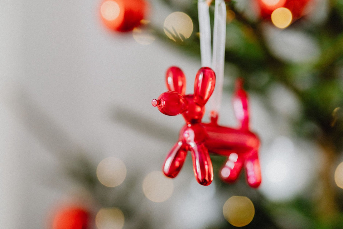 Xenos Tilburg: Hondenornament als Kerstcadeau voor Jouw Huisdier