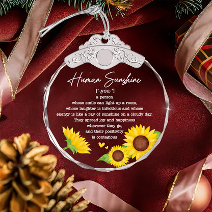 Thank You Gifts – Human Sunshine Definition — view 4