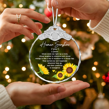 Thank You Gifts – Human Sunshine Definition — view 5